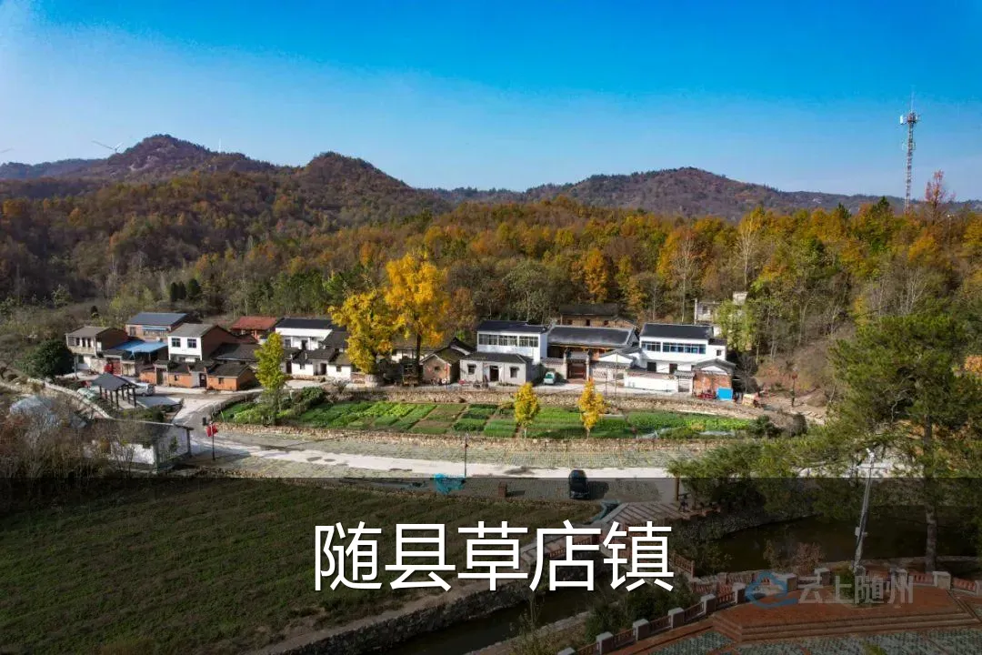 随县草店镇