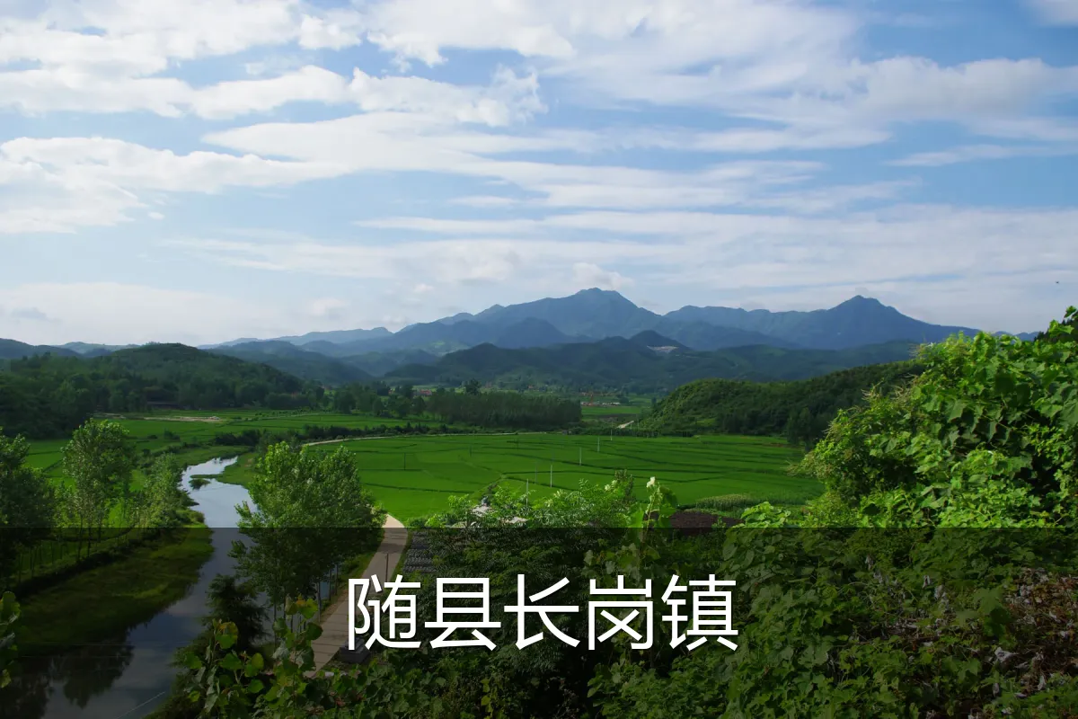 随县长岗镇