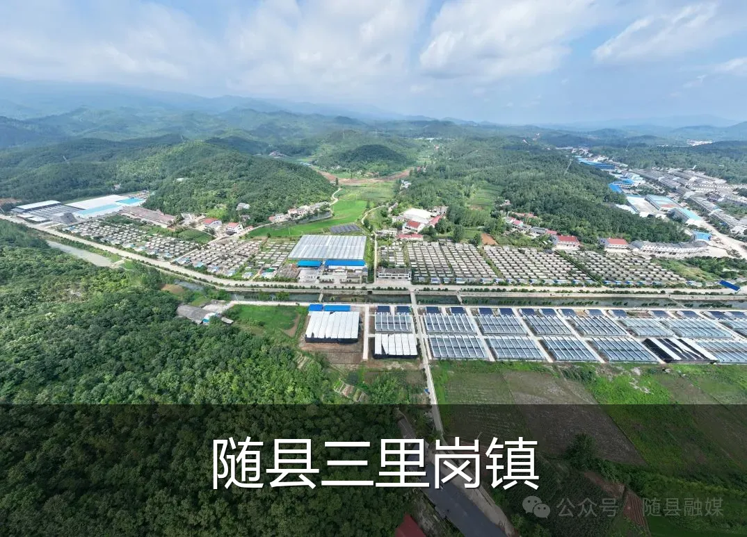 随县三里岗镇