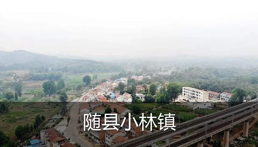 随县小林镇