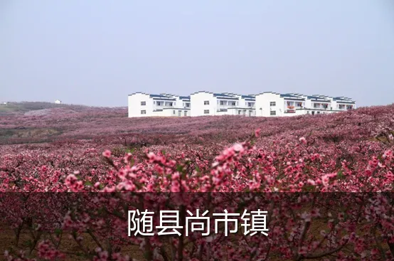 随县尚市镇