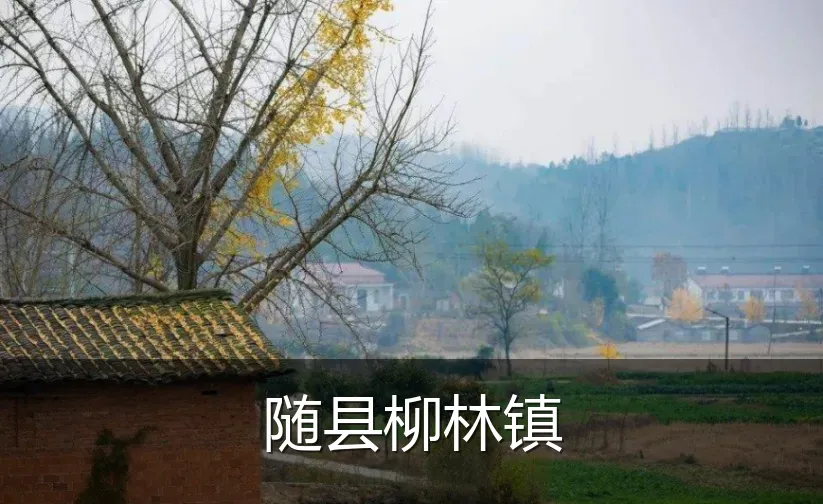 随县柳林镇